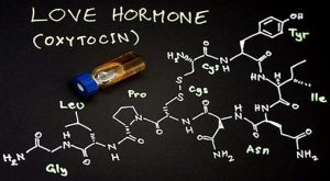 Hoocmon Oxytocin - chất xúc tác duy trì hạnh phúc gia đình